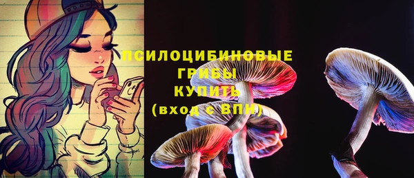дурь Белоозёрский