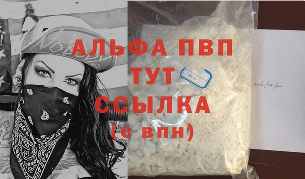 индика Богданович