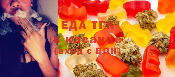 индика Богданович