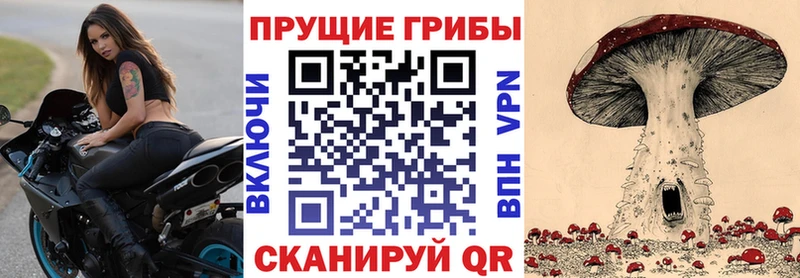 Галлюциногенные грибы мухоморы  Купить  Нахабино 